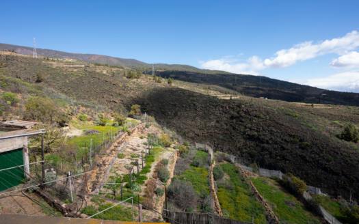 Se vende fantástica finca con vivienda