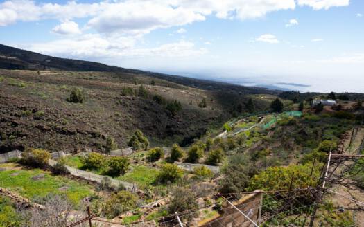 Se vende fantástica finca con vivienda