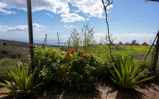 Se vende fantástica finca con vivienda