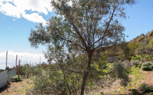 Se vende fantástica finca con vivienda