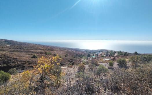 Se vende fantástica finca con vivienda