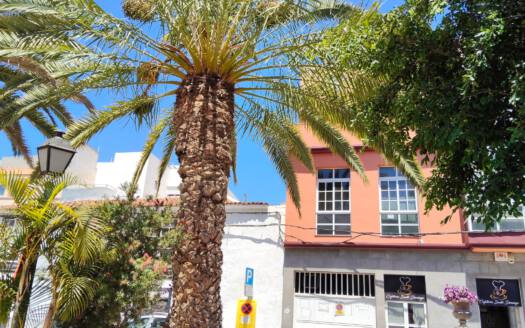 Se alquila oficina en el centro de Güímar